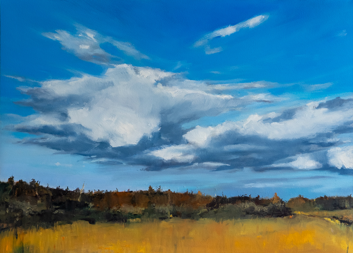 Oil on panel landscape of billowing white clouds in a vivid blue sky above a golden field with a dark autumn treeline on the horizon, by Owen Sound artist Joanna Aplin.