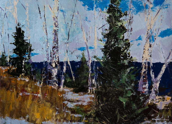 Oil on paper landscape of birch trees and evergreens in a late-winter scene with golden grasses, deep blue forest, and cool pale sky, by Canadian landscape artist Joanna Aplin.